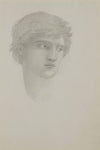 Study for head of Perseus in the rock of doom