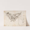 Study for Nude Male Figures Supporting a Frame and Plan of the Ceiling Decoration of Palazzo Altieri, Rome (1625–1713) by Carlo Maratti