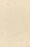 Study for Reclining Nude with Arms Raised