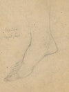 Study for the Judgment of Jupiter (Apollo, right foot)