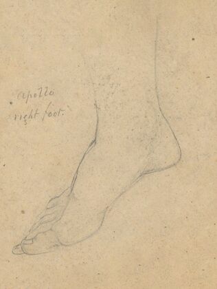 Study for the Judgment of Jupiter (Apollo, right foot)