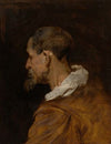Study Head