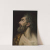 Study Head of a Bearded Man (c. 1565) by Frans Floris