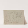 Study of a bear by Sawrey Gilpin
