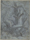 Study of a Blasted Tree Trunk and Branches