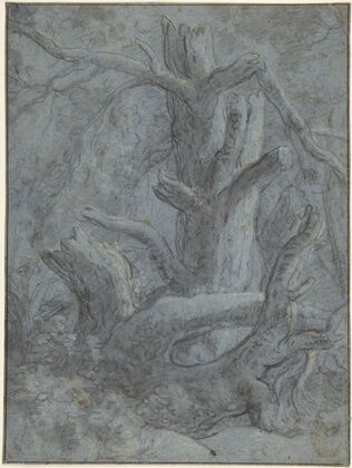 Study of a Blasted Tree Trunk and Branches