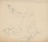 Study of a Boy in Movement
