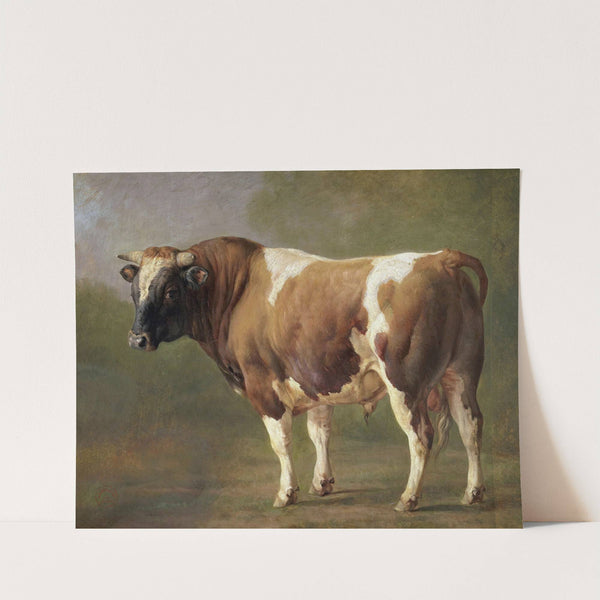 Study of a Bull by Jacques-Raymond Brascassat