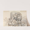 Study of a Calf by Sawrey Gilpin