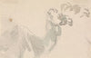 Study of a Camel