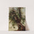 Study of a Cedar by David Johnson