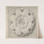 Study of a Classical Rosette by Thomas Hardwick