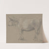 Study of a Cow by Thomas Gainsborough