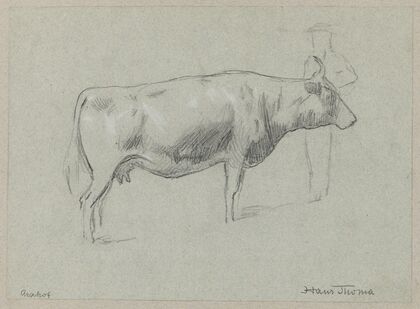 Study of a Cow (1895)