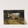 Study of a cow in a meadow by Joseph Farquharson