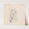 Study of a Cow&#8217;s Head by Sawrey Gilpin