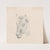 Study of a Cow&#8217;s Head by Sawrey Gilpin