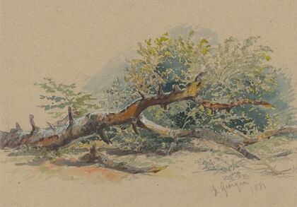 Study of a Cut Down Tree — size preview
