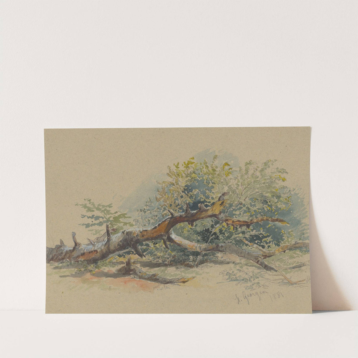Study of a Cut Down Tree by Friedrich Carl von Scheidlin
