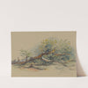Study of a Cut Down Tree by Friedrich Carl von Scheidlin