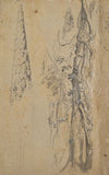 Study of a Cypress and Two Overgrown Trees