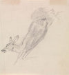 Study of a dead deer