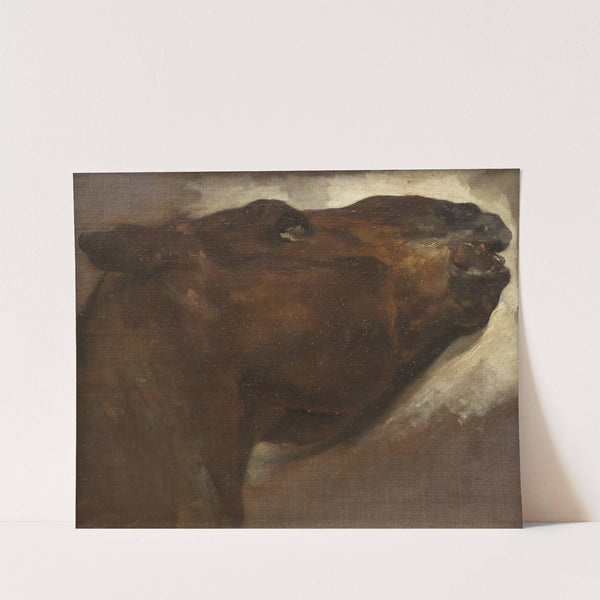 Study of a Dead Horse by Théodore Géricault