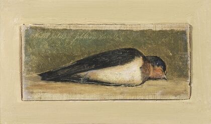 Study of a Dead Swallow