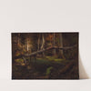 Study of a Decaying Wood by August Cappelen