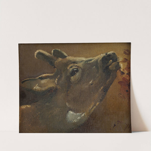Study of a deer by Jørgen Roed