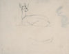 Study of a Deer Resting, back view
