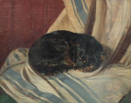 Study of a Dog Lying Down