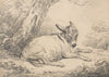 Study of a Donkey Under a Tree