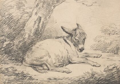 Study of a Donkey Under a Tree