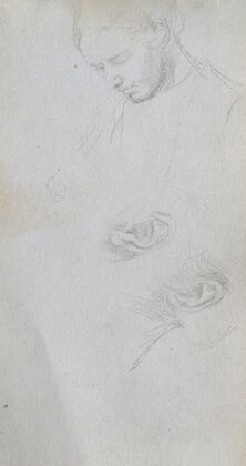 Study of a Face, ears (1860s)