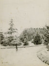 Study of a Garden