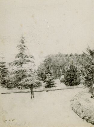 Study of a Garden