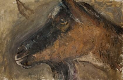 Study of a goat’s head (1918)
