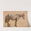 Study of a Grey Horse by Jacques-Laurent Agasse
