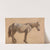 Study of a Grey Horse by Jacques-Laurent Agasse