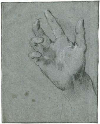 Study of a hand