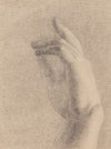 Study of a Hand (recto)