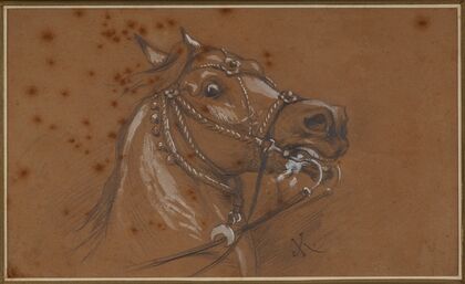 Study of a harnessed horse head