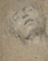Study of a Head