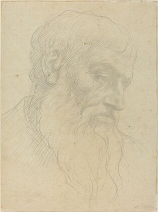 Study of a Head
