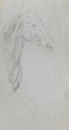 Study of a Horse (1860s)