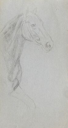 Study of a Horse (1860s)