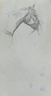 Study of a Horse 3 (1860s)