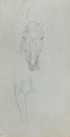 Study of a Horse 5 (1860s)