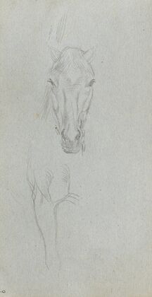 Study of a Horse 5 (1860s)